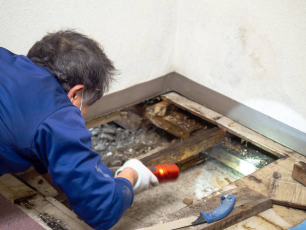 Crawl Space Mold Removal in Culver, OR