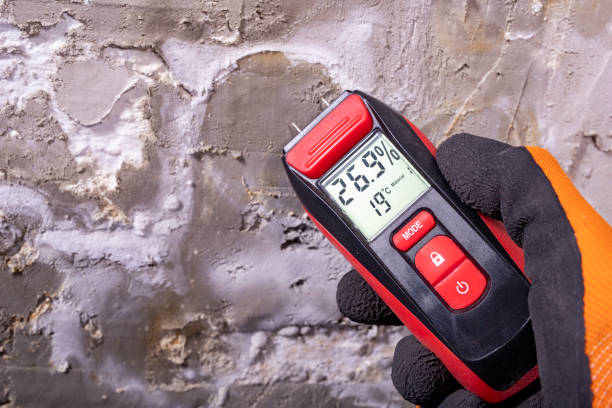 Best Mold Testing  in Culver, OR