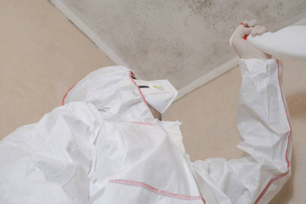 Best Mold Damage Repair  in Culver, OR