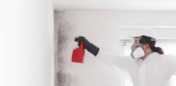 Certified Mold Removal in Culver, OR