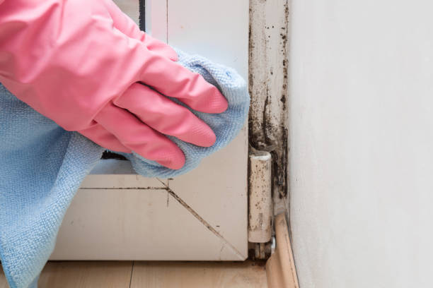 Best Crawl Space Mold Removal  in Culver, OR